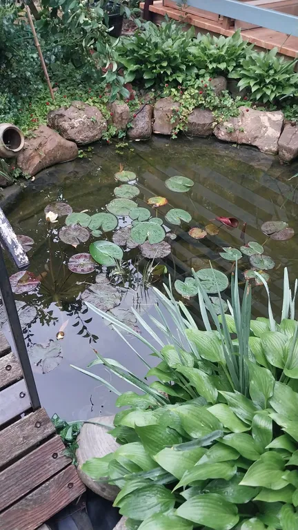 Домик с удобствами и кухней Персиковая поляна