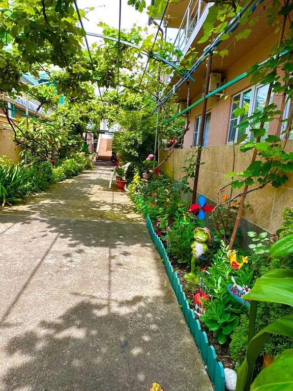 Квартира 1-комнатная Квартира — Адлер