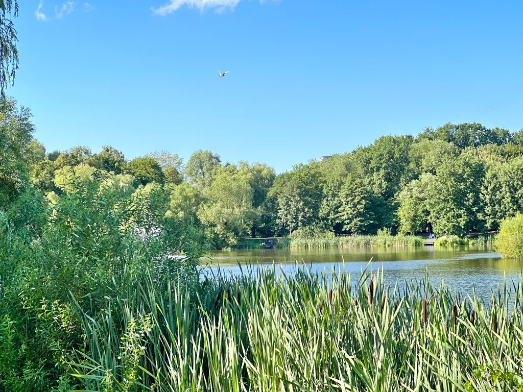 Уютная квартира у озера