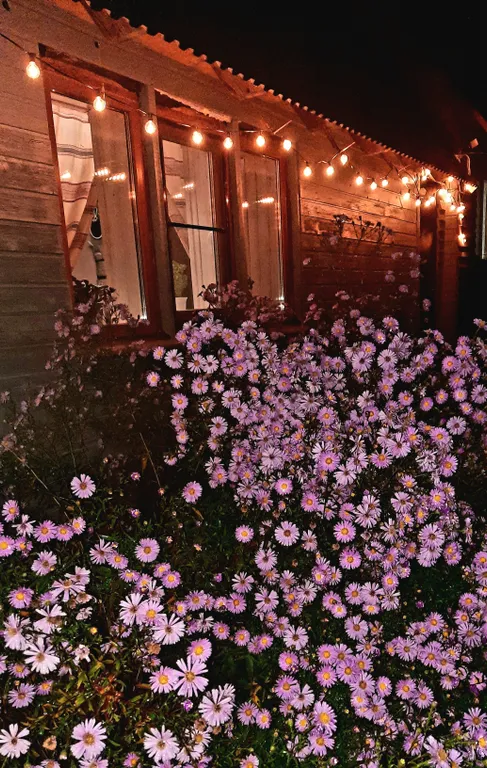 Домик Уют Самана в Родовом поместье в лесу