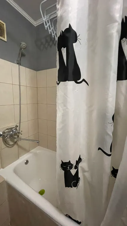 Квартира Уютная квартира в центральном районе — Калининград