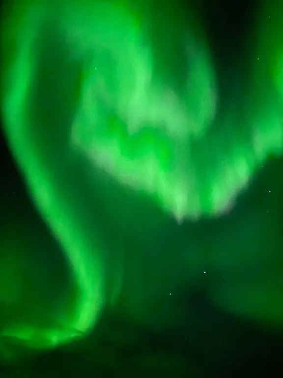 Квартира в Териберке