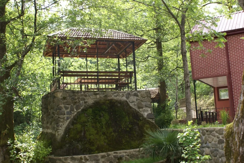 Квартира Квартира Дом в деревне на горной речке в 15 километрах от Батуми — Зеда Тхилнари