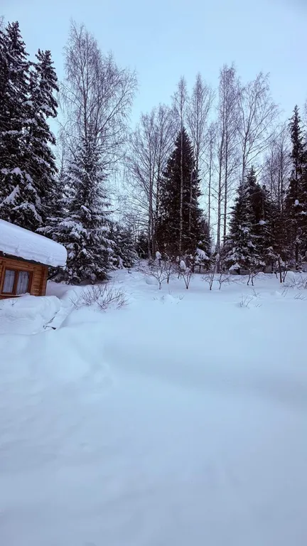 Гостевой дом в лесу