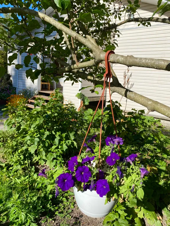 Уютная лесная дача в экологически чистом месте северного приладожья