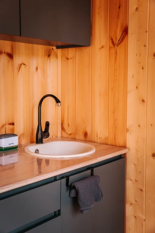 Домик в сосновом бору с баней, бассейном (летом) и беседкой