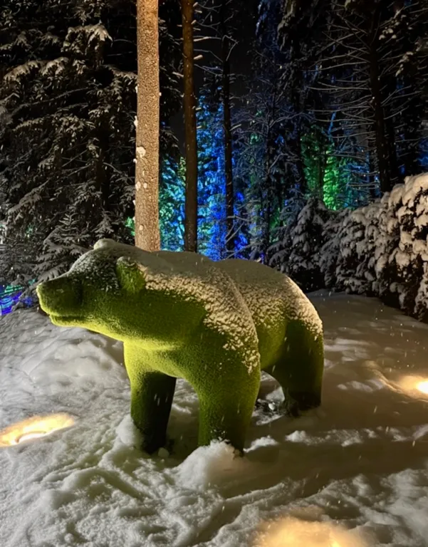 Студия Кукушкин лен у горнолыжных склонов