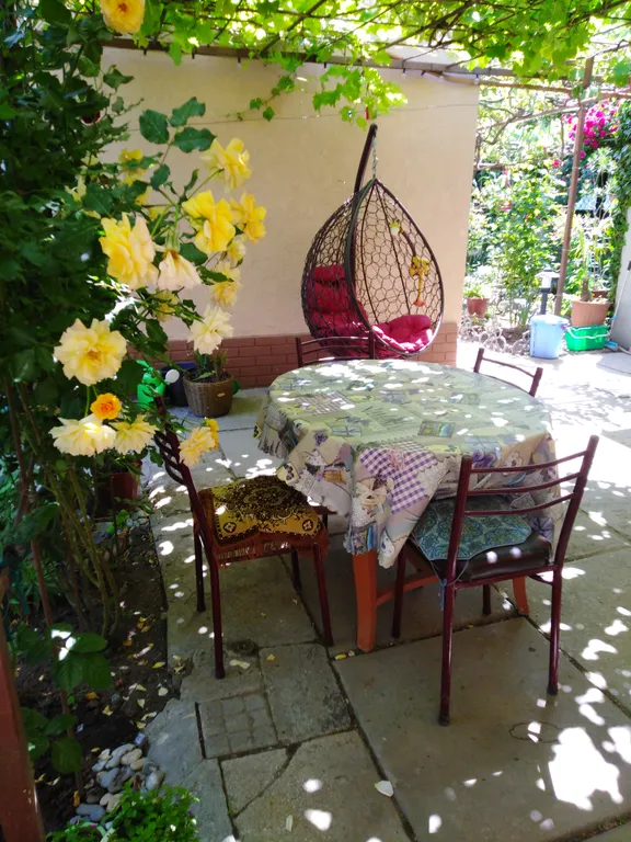 Комната в зелёном дворе