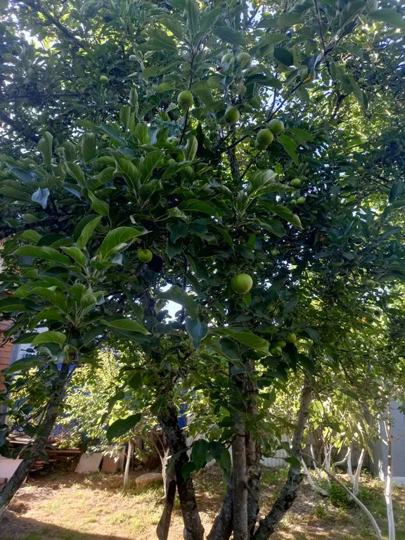 Дом под ключ