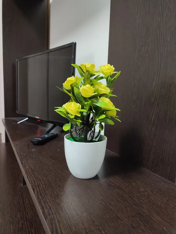 Однокомнатные уютные апартаменты