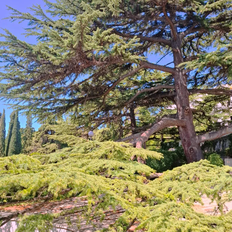 Комфорная комната