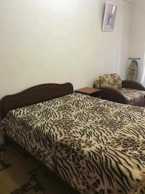 Просторная квартира в центре