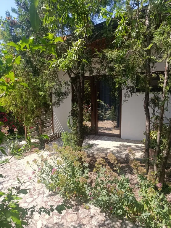 Аппартамент в соснах на четверых