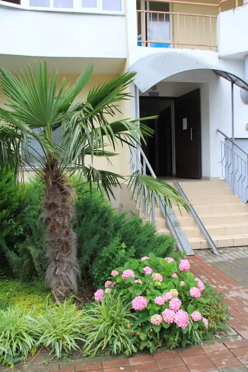 Квартира Уютная квартира в центре — Лазаревское