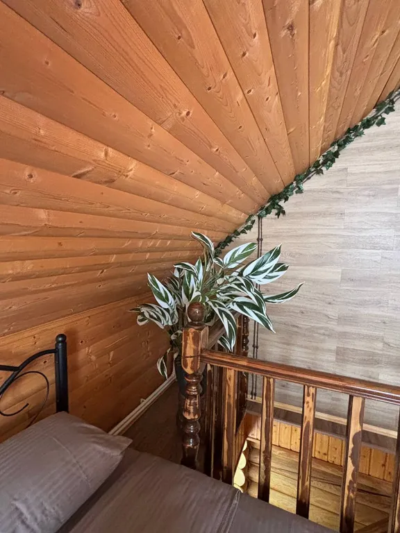 Коттедж с термальной водой