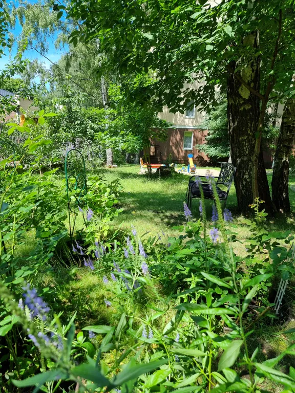 Квартира 1-комнатная Квартира — Светлогорск