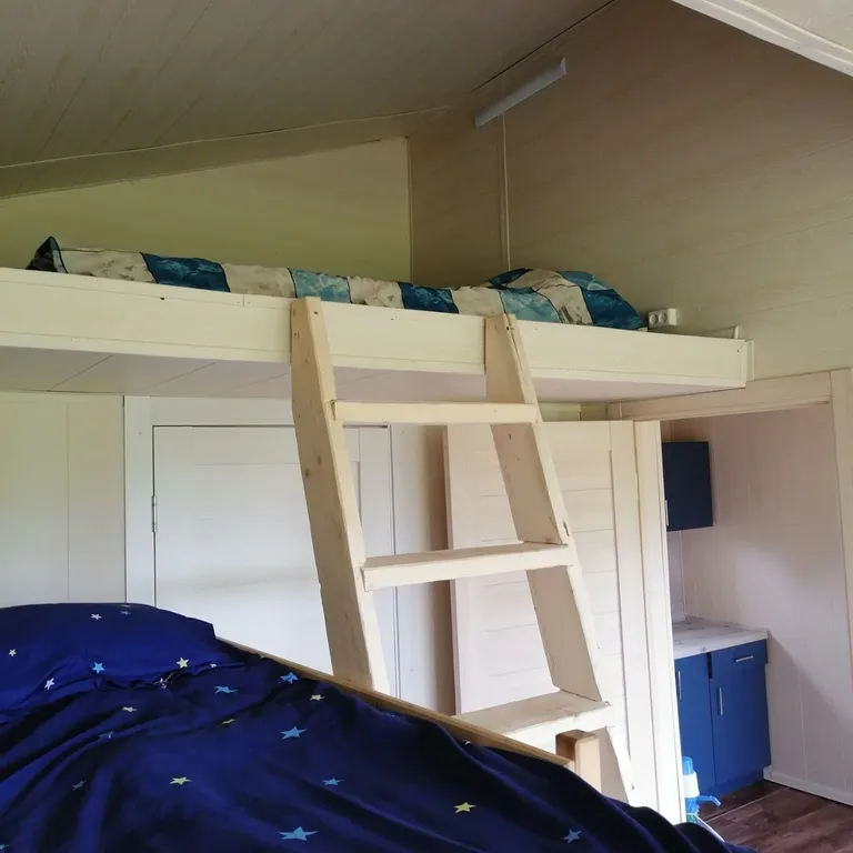 Глэмпинг Папоротник