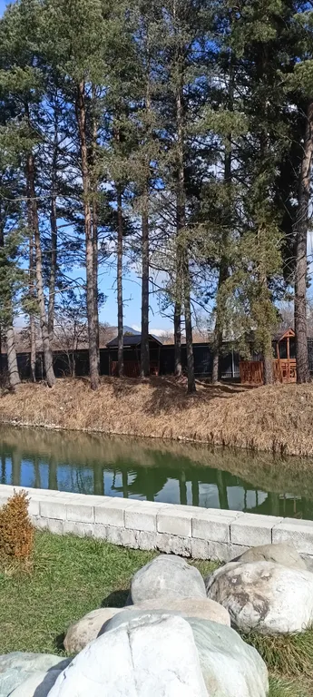 Домик у пруда