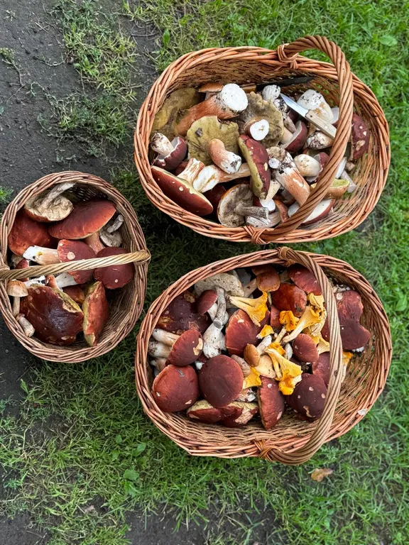 Дом в Карелии