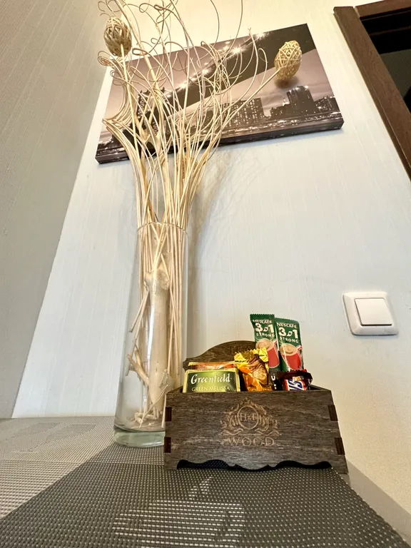 Студия с камином и кондиционером