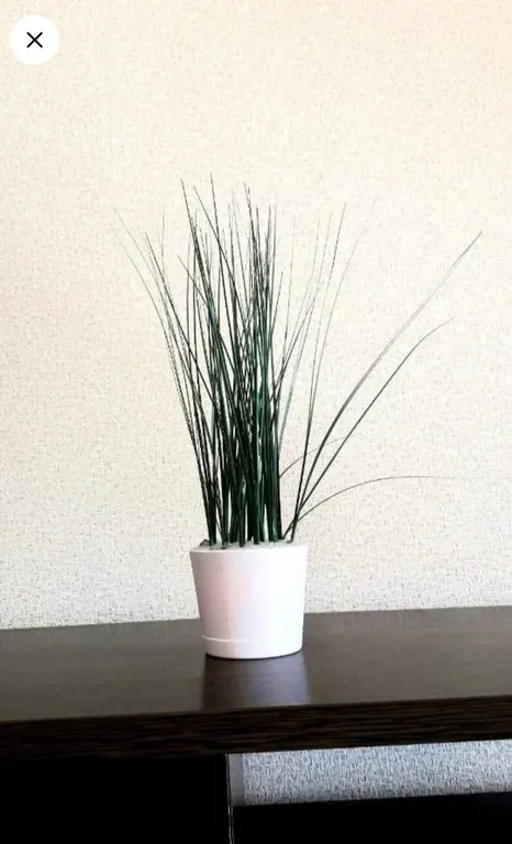 Современная квартира в центре города