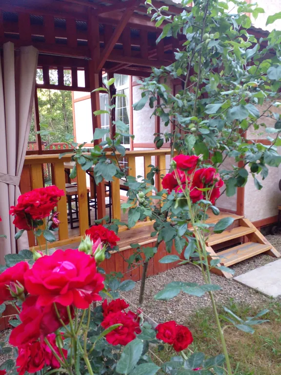 Коттедж Эко домик для отдыха пары или семьи — аренда посуточно в Веселое