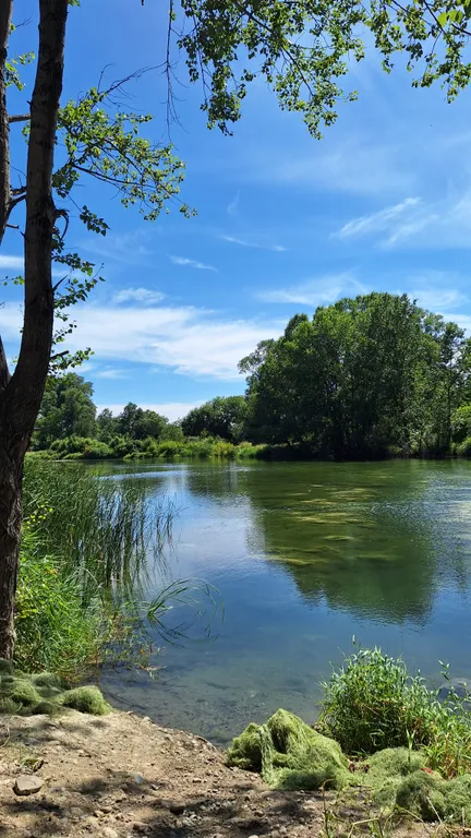 Дом у термальных источников