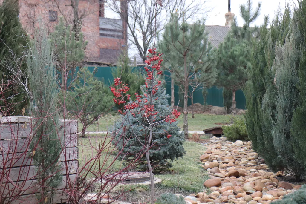 Загородный дом-шале "Pinebrook", аренда, у реки Дон. Сезонный бассейн.