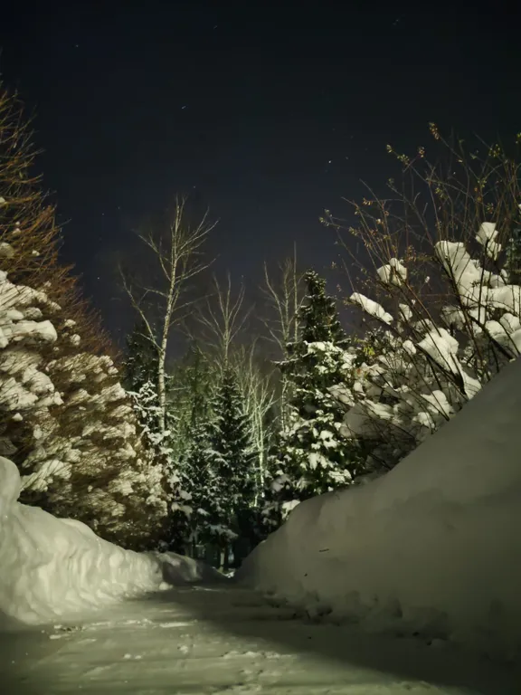 Уютный домик на участке 50 соток