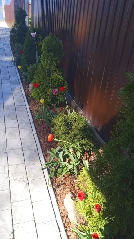 Коттедж Уютный дом — Осцы