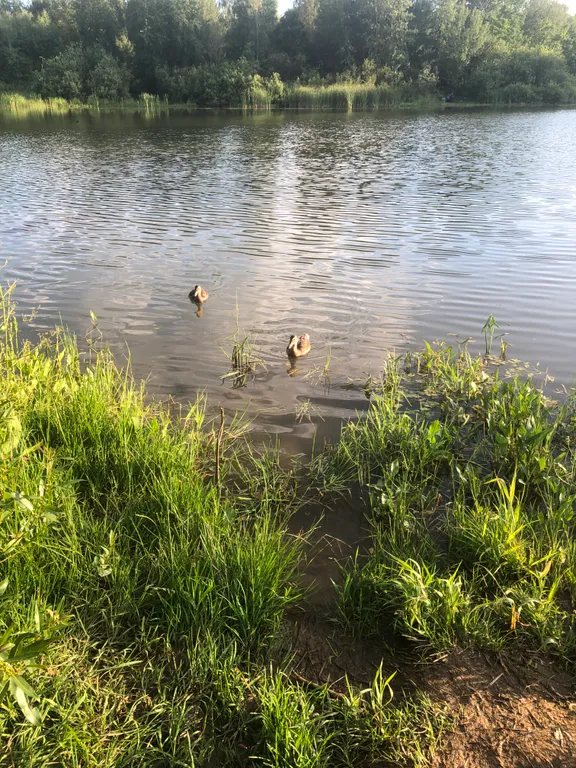 Дом с баней