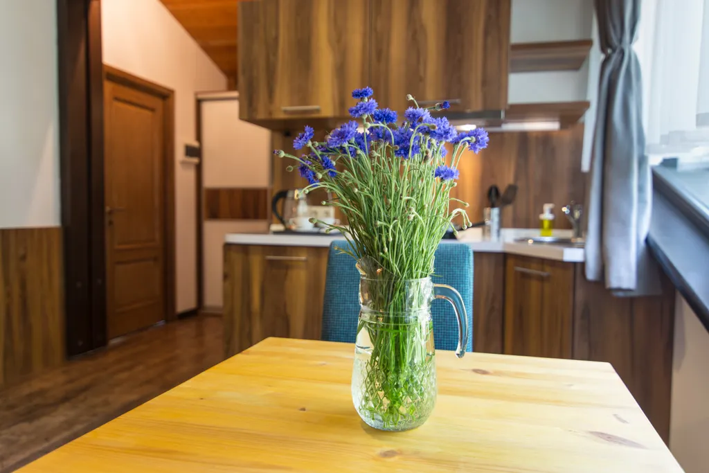 Двухкомнатный номер с видом на сад