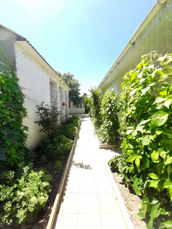 Двухместный номер стандарт с террасой