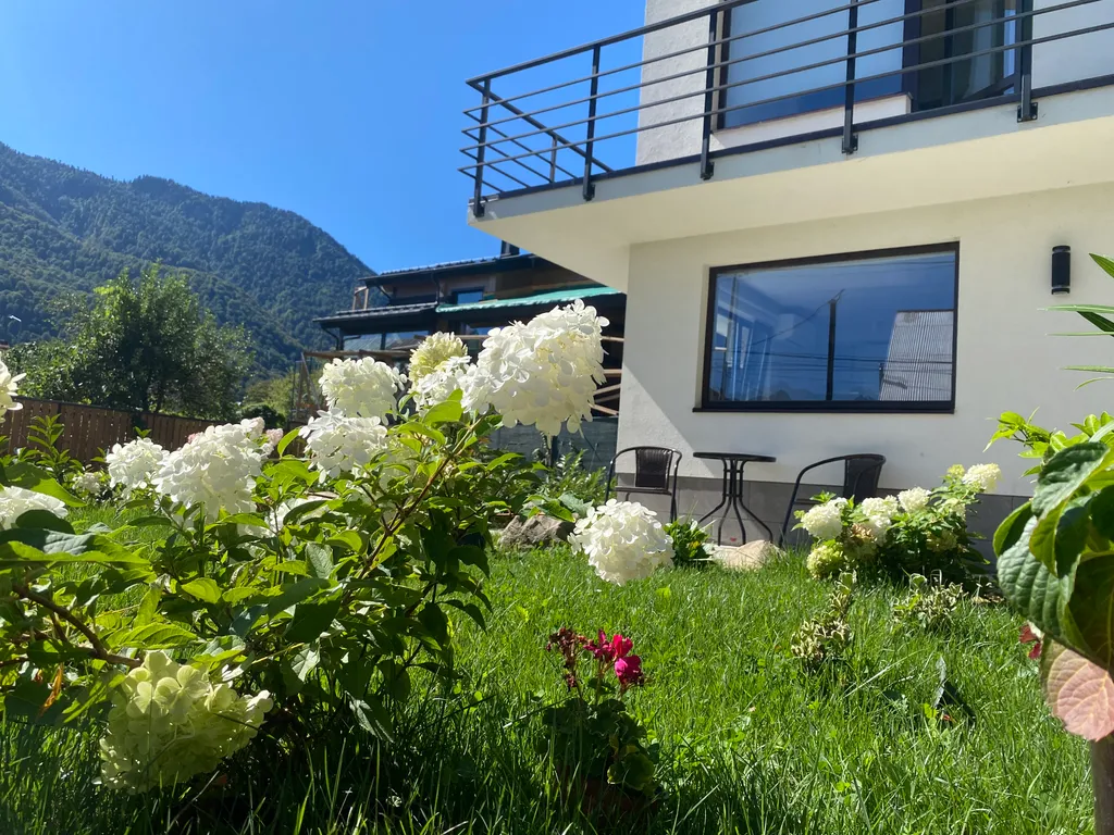 Квартира с видом на гору Аибга — аренда посуточно в Красная Поляна