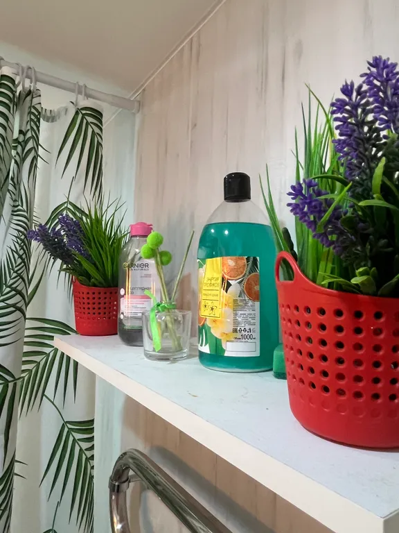 Уютная гавань у стен аквариума