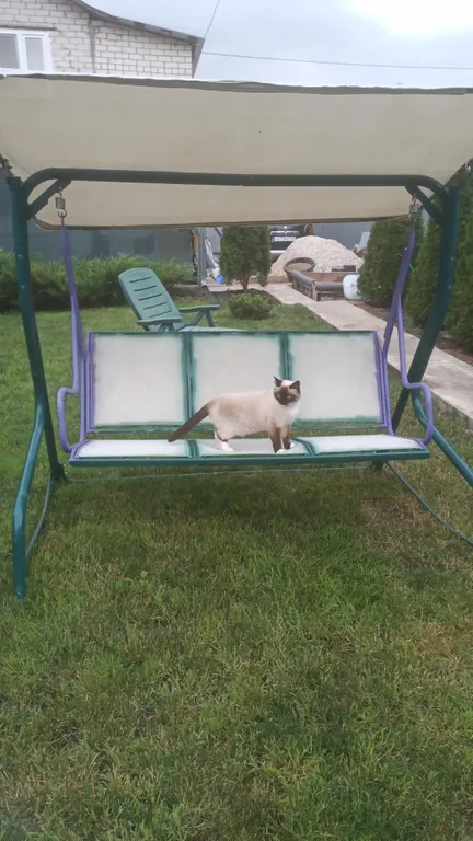 Коттедж в Царевщине