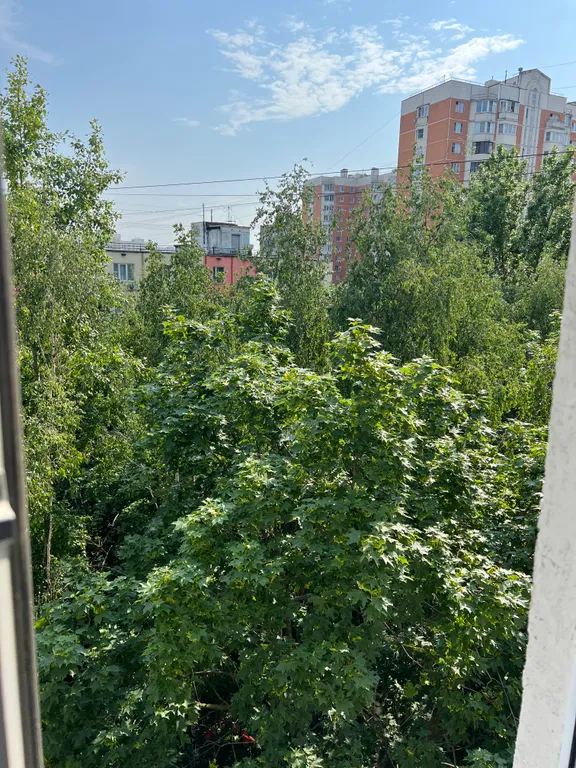 Уютная однокомнатная кквартира