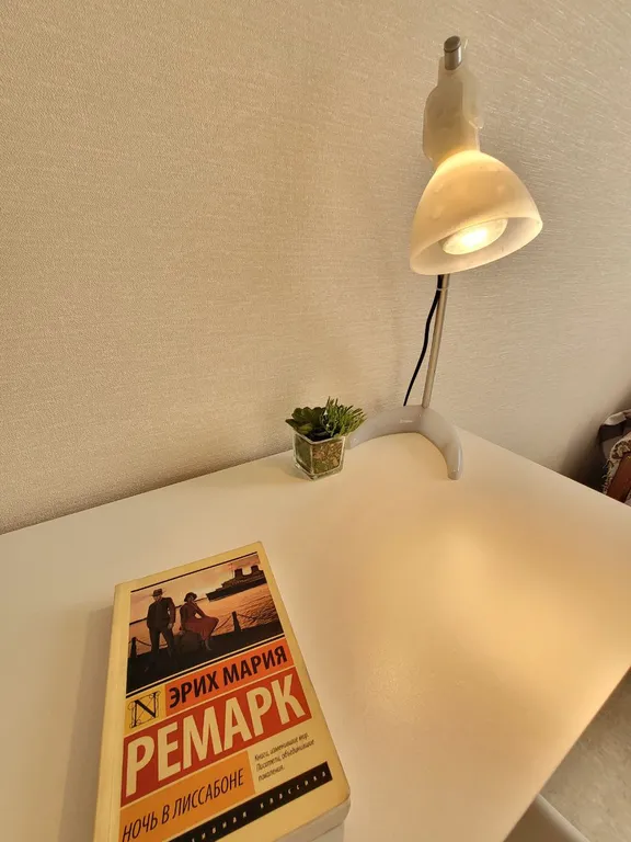 Уютная квартира рядом с озером Разлив