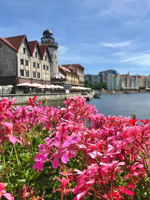 Квартира Дизайнерские апартаменты у Кафедрального собора — Калининград