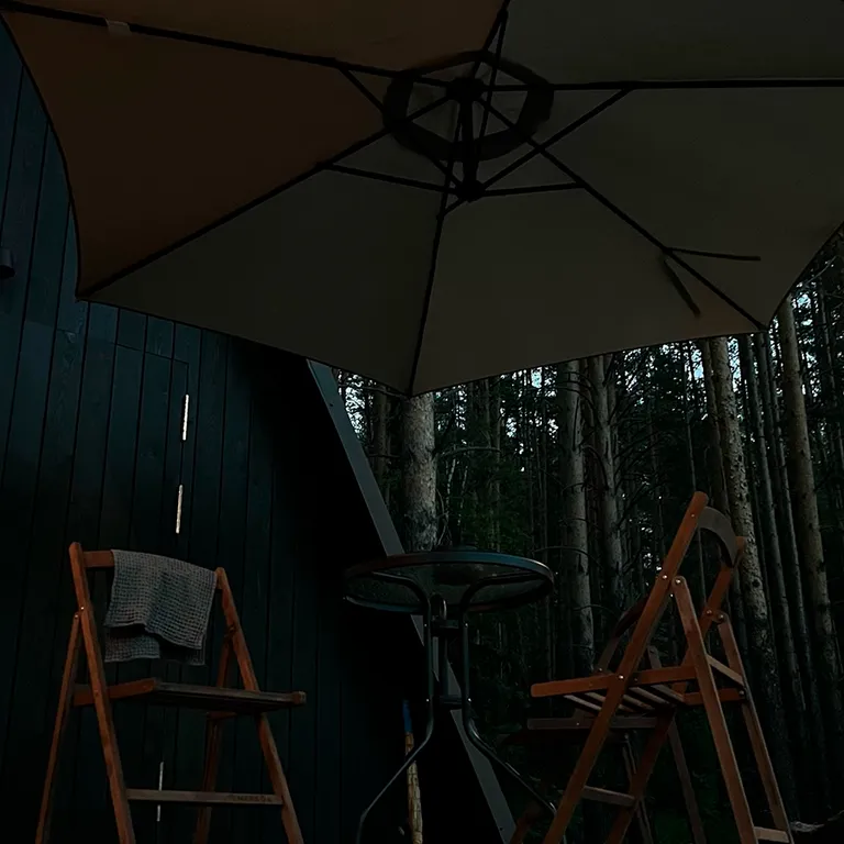 Дом с купелью и камином