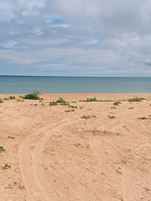 Дом на берегу моря