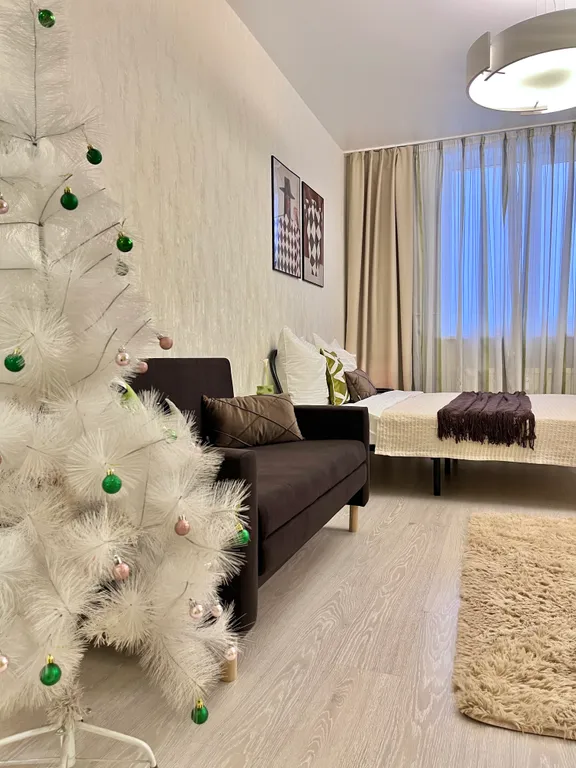 Просторная студия в центре города