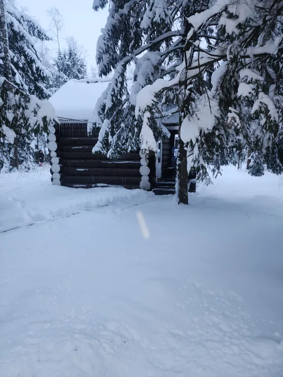 Уютный бревенчатый дом и баня, на одном участке