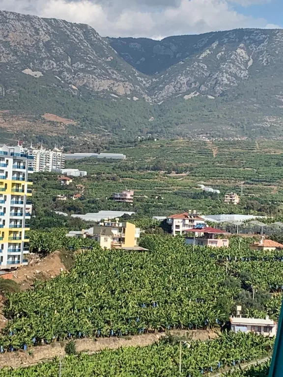 The best view in the angels home