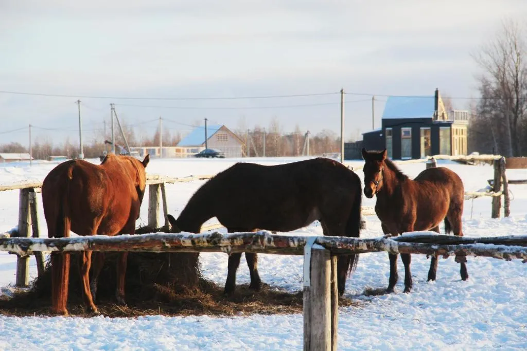 Чудо-дом с сауной