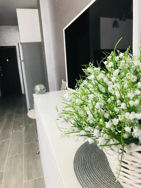 Квартира Уютная студия — аренда посуточно в Эсто-Садок