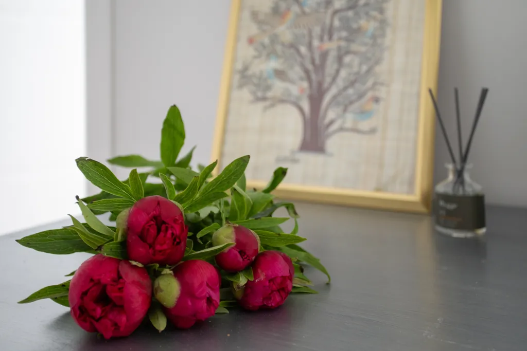 Квартира Большая квартира в самом сердце Санкт-Петербурга — Санкт-Петербург