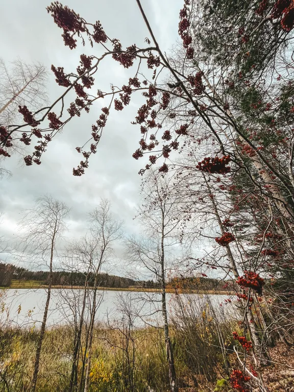 Дом на берегу залива Мусталанлахти