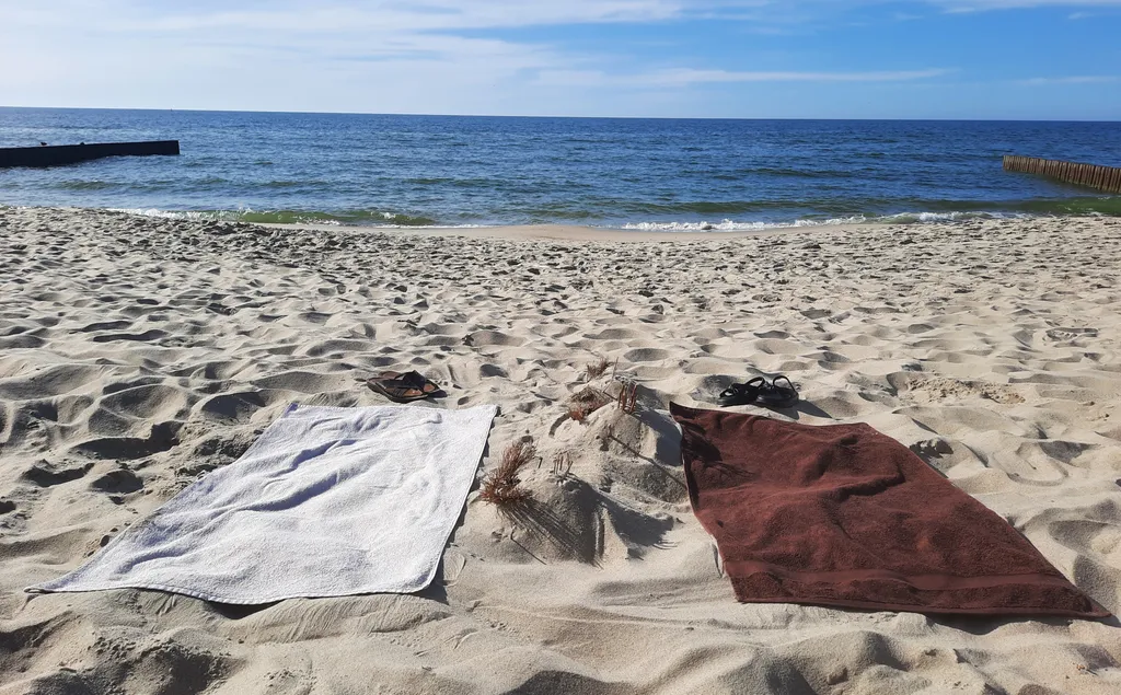 Уютная квартира у моря — аренда посуточно в Пионерский