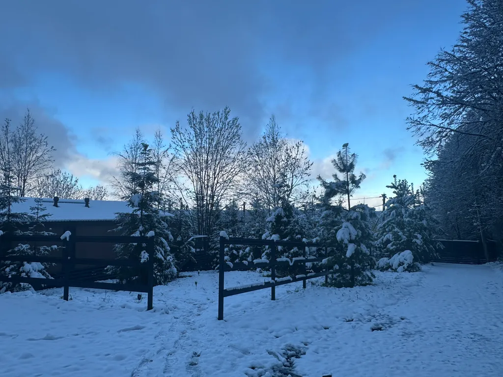 Дом Вапити - уютный коттедж на отдельном лесном участке